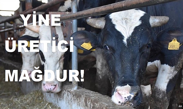 Yine üretici mağdur!