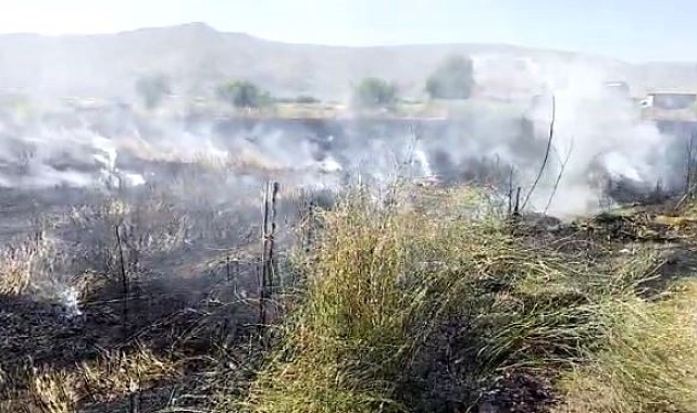 10 dönüm tarım arazisi yandı