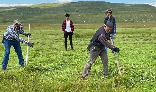 Ardahan'da çiftçiler tırpanlarını çekti