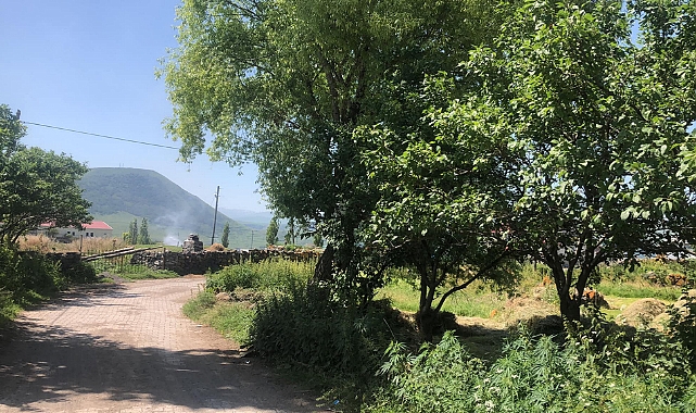 Cancur Festivali meyve bahçelerinde yapılacak