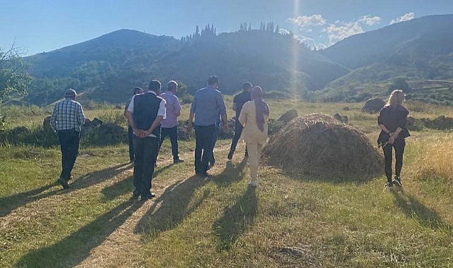 Çıldır’da dolu vuran tarlalarla Bakanlık ilgilenecek mi?