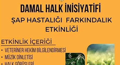 Damal Halk İnisiyatifi Şap Hastalığı etkinliği düzenliyor