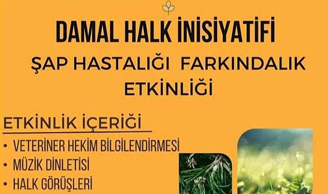 Damal Halk İnisiyatifi Şap Hastalığı etkinliği düzenliyor