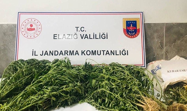 Damla sulama sistemiyle kenevir yetiştiren şüpheli suçüstü yakalandı