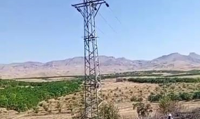 Elektrik direğinden çıkan kılvılcım 5 dönümlük bahçeyi kül etti
