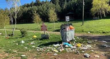 Festival bitti, geriye çöpleri kaldı