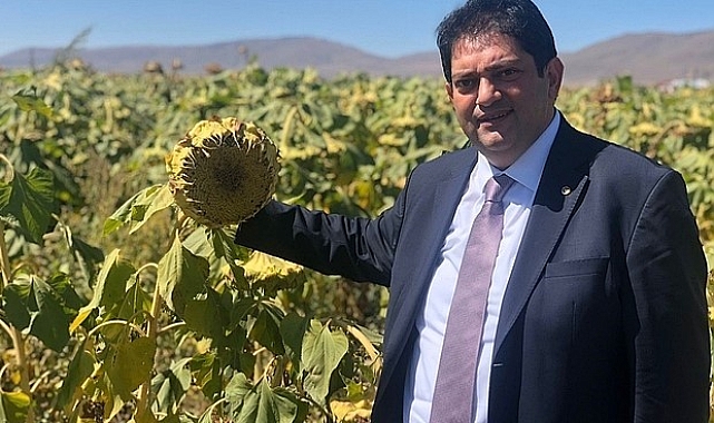 Hasat çiftçimizin bayramıdır