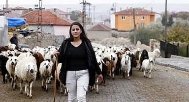 İl Tarım, diplomalı çoban alacak