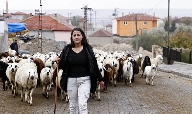 İl Tarım, diplomalı çoban alacak