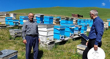 Kafkas Arısı Gen Merkezi, sahaya indi