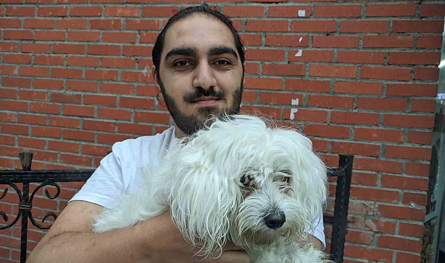 Köpeğini kaza sonucu veteriner hekime götüren gencin hastane isyanı
