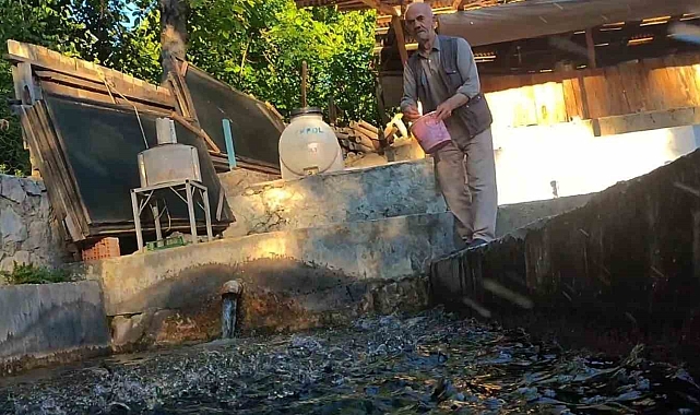 Köydeki küçük bir tesisten mütevazı restorana uzanan hikaye