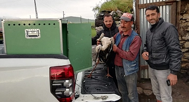 Leylekler koruma altına alındı