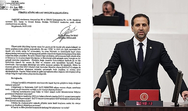 Milletvekili İncesu, TBMM'de sorunları dile getirdi