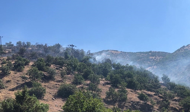 Ormanlık alanda korkutan yangın