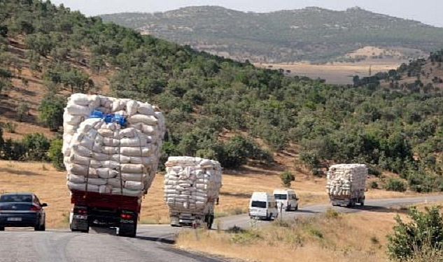 Saman yüklü kamyonlar yola çıktı