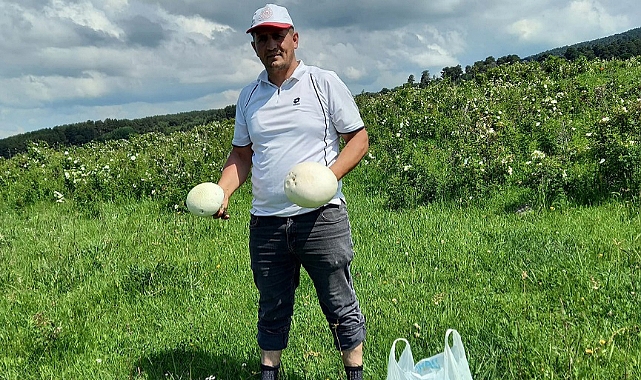 Tabiat ana, meyvelerini vermeye başladı