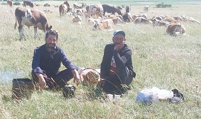Tezek ateşi başında çay keyfi