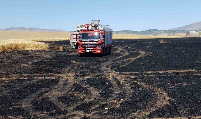 Trafodan çıkan kıvılcım 70 dönümlük ekili alanı kül etti