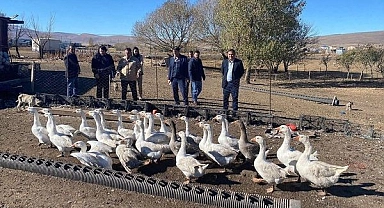 Ulusal kaz yetiştiriciliği çalıştayı ve kaz günü etkinliğinin tarihi belli oldu
