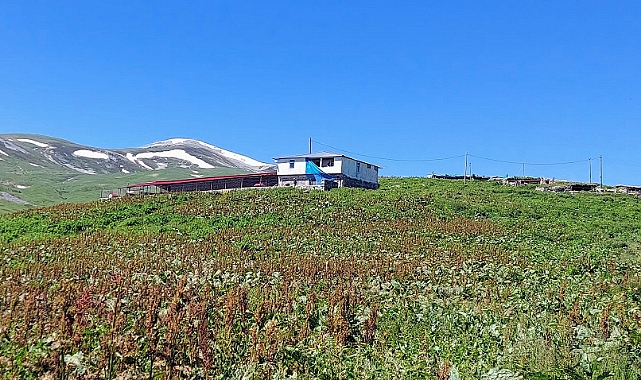 Yayla evleri villaya dönüyor