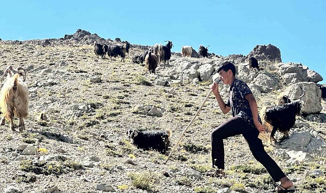 Yaylada çobanlık yapan ve LGS'de Türkiye ikincisi olan Muhammet'in kazandığı lise belli oldu