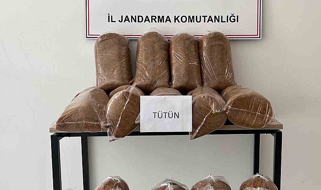 165 kilo kaçak tütün ele geçirildi