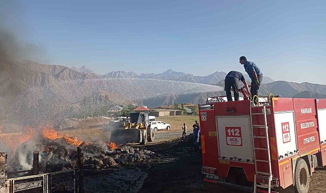 600 bağ otu ve kamyonet yandı