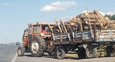 Ağaç katliamları devam ediyor