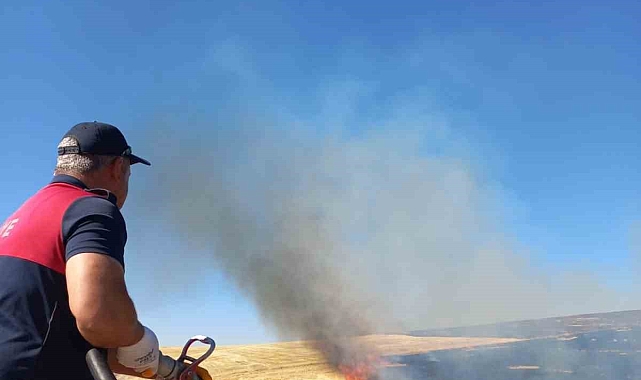 Ağrı'da onlarca dönüm ekili tarla küle döndü