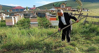 Başkan Gültekin tırpanla hasat yaptı