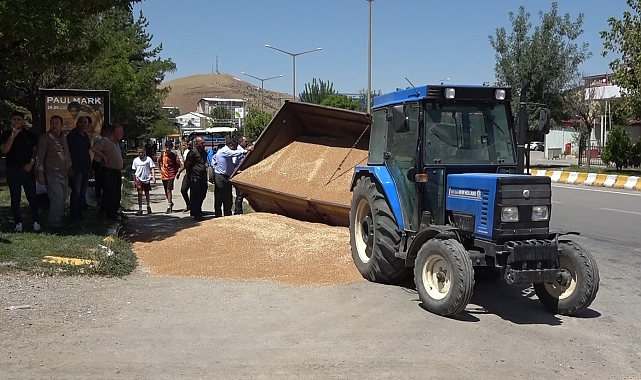 Buğday yüklü römork devrildi