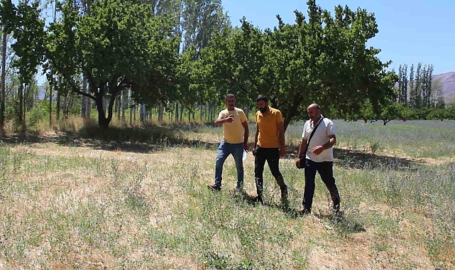 Çiftçilerin 'sulama sıkıntısı' talepleri