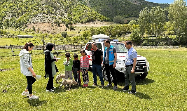 Doğada bulunurken kene popülâsyonuna dikkat!