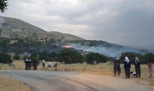 Düşen yıldırım otluk alanları yaktı