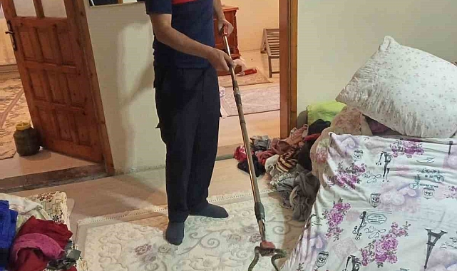 Evine yılan giren aile itfaiyeye sığındı