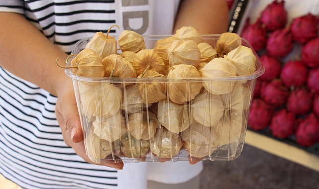 Faydaları saymakla bitmiyor, 250 gramı 50 TL’den satılıyor