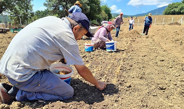Fiyatı dudak uçuklatıyor