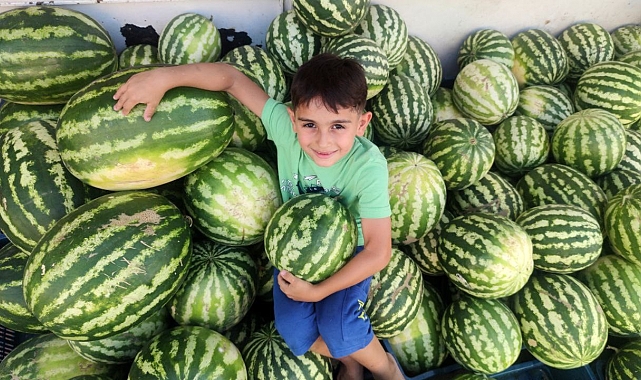 'Hıdıroz' karpuzu tezgahlardaki yerini aldı