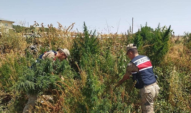 Jandarmadan zehir tacirlerine darbe