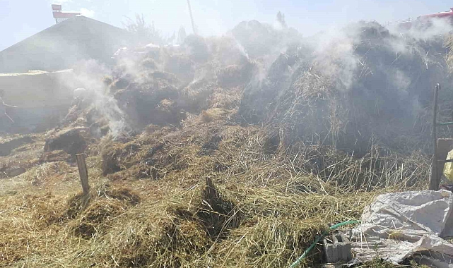 Kars'ta 700 balya ot yandı