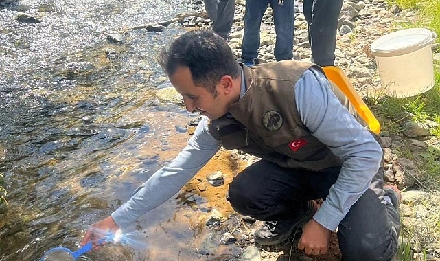 Kars&#039;ta derelere alabalık bırakıldı