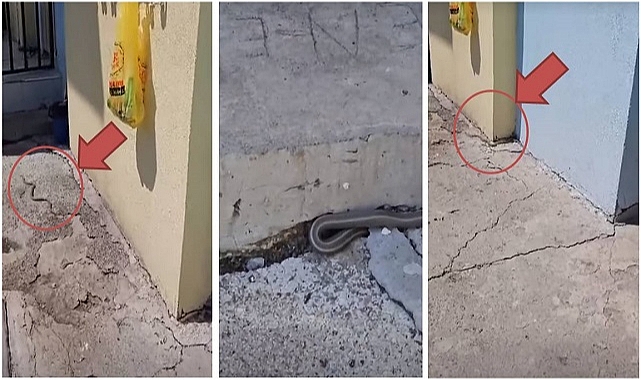 Köylerde yılan paniği!