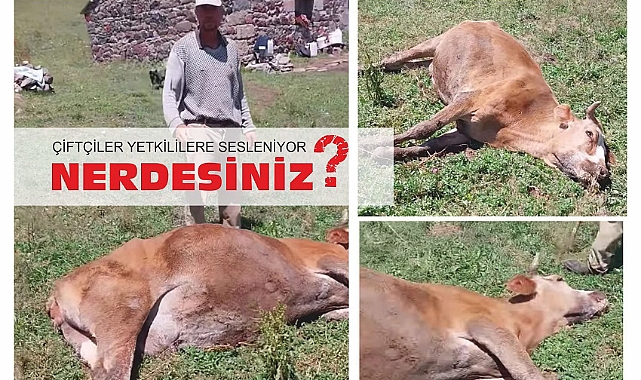 Köylü isyanda, neredesiniz diye feryad ediyor