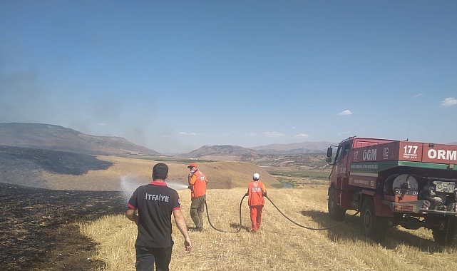 Örtü yangını ormanlık alana sıçramadan söndürüldü