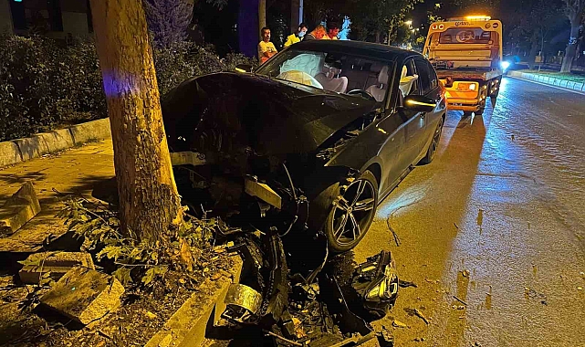 Otomobil ağaca çarptı: 1 yaralı