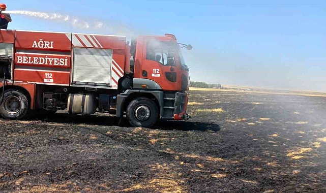 Tarla yangını