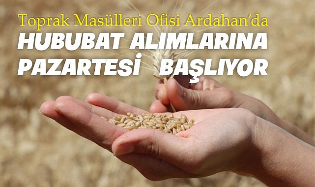 TMO Ardahan'da hububat alımına Pazartesi günü başlayacak