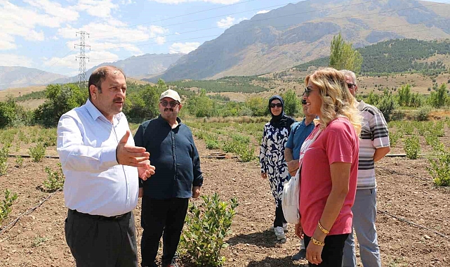 "Uzman Eller" projesinden hibe alan mühendis, aronya yetiştiriyor
