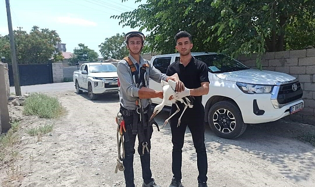 Yuvasında mahsur kalan leylek kurtarıldı